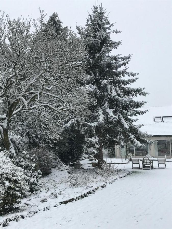 Aquavilla Bed & Breakfast Willebroek Eksteriør billede