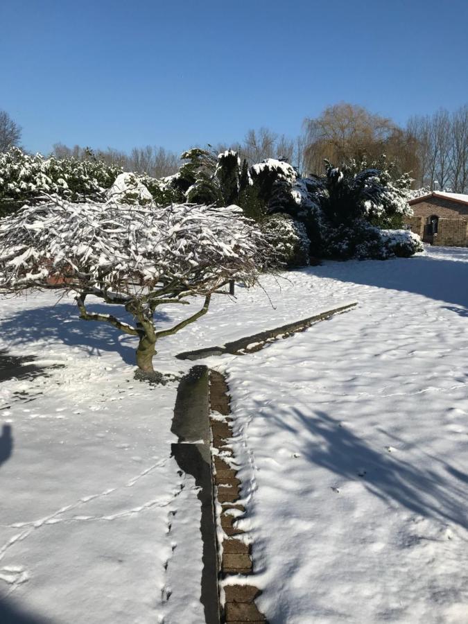 Aquavilla Bed & Breakfast Willebroek Eksteriør billede