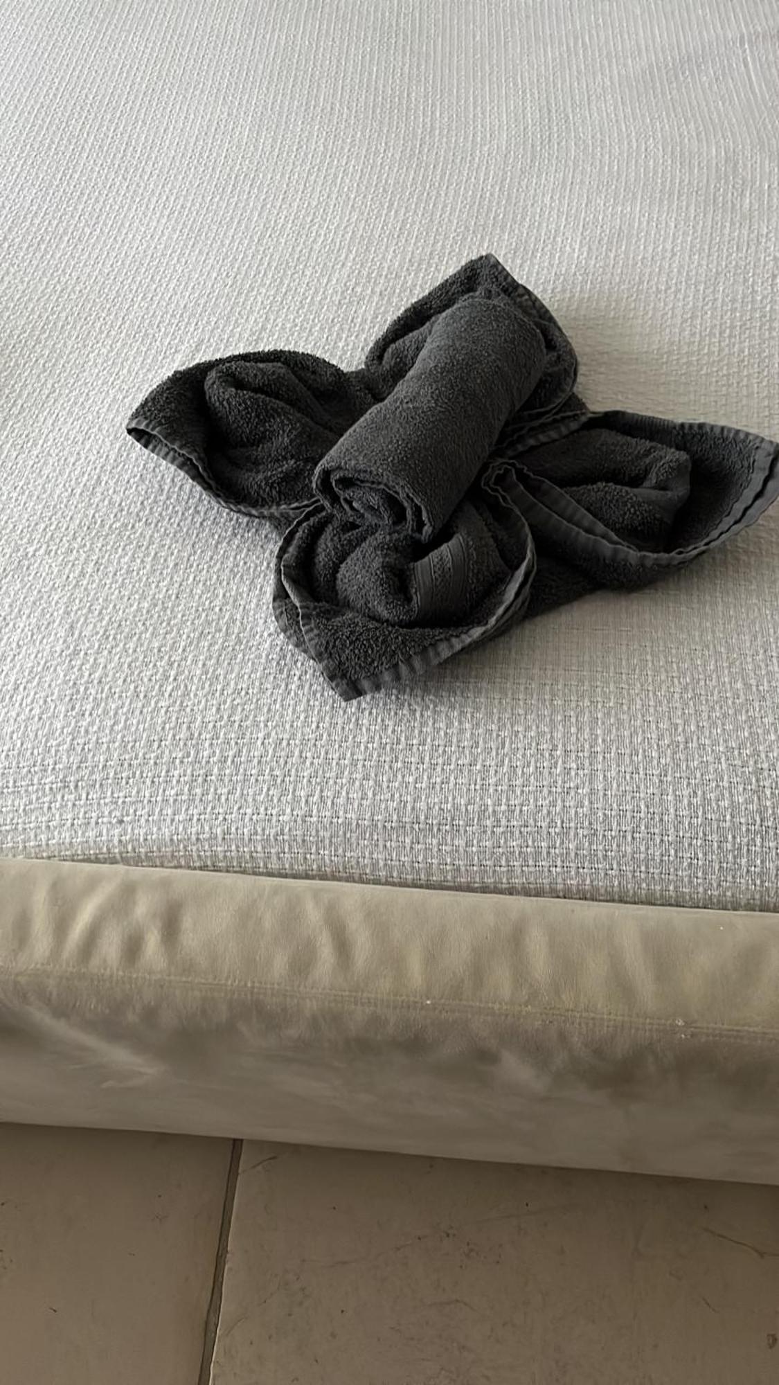 Aquavilla Bed & Breakfast Willebroek Eksteriør billede